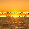 «Удобнее» или «удобней» — как правильно пишется слово?