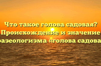 Что такое голова садовая? Происхождение и значение фразеологизма «голова садовая»
