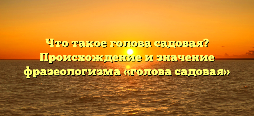 Что такое голова садовая? Происхождение и значение фразеологизма «голова садовая»
