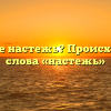 Что такое настежь? Происхождение слова «настежь»