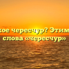 Что такое чересчур? Этимология слова «чересчур»