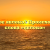 Что такое яблоко? Происхождение слова »яблоко»