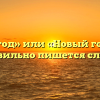 «новый год» или «Новый год» — как правильно пишется слово?