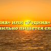 «родина» или «Родина» — как правильно пишется слово?