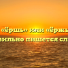 «Ёрш», «ёршь» или «ёржь» — как правильно пишется слово?