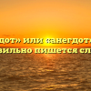 «Анекдот» или «анегдот» — как правильно пишется слово?