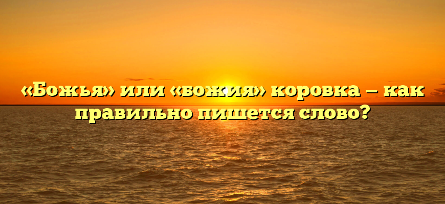 «Божья» или «божия» коровка — как правильно пишется слово?