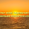 «Бренчать» или «бреньчать» — как правильно пишется слово?