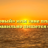 «Внеплановый» или «вне плановый» — как правильно пишется слово?