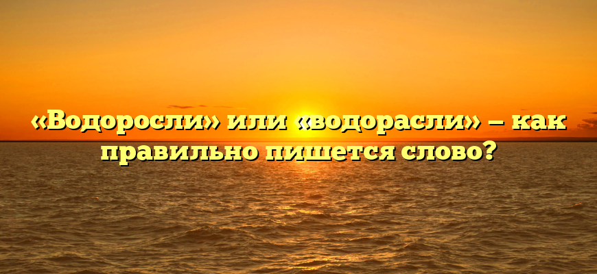 «Водоросли» или «водорасли» — как правильно пишется слово?