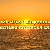 «Жареный» или «жаренный» — как правильно пишется слово?