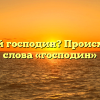 Кто такой господин? Происхождение слова «господин»