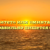 «Менталитет» или «минталитет» — как правильно пишется слово?