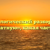 Морфологический разбор слова «аккуратную», какая часть речи