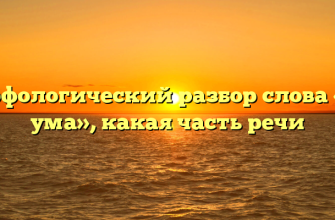 Морфологический разбор слова «без ума», какая часть речи