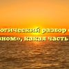 Морфологический разбор слова «в основном», какая часть речи