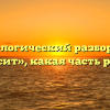 Морфологический разбор слова «весит», какая часть речи