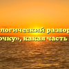 Морфологический разбор слова «веточку», какая часть речи
