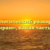 Морфологический разбор слова «вытираю», какая часть речи