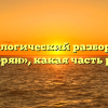 Морфологический разбор слова «дворян», какая часть речи