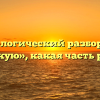 Морфологический разбор слова «дикую», какая часть речи