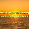 Морфологический разбор слова «домина», какая часть речи