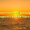 Морфологический разбор слова «заговорил», какая часть речи