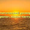 Морфологический разбор слова «заиграла», какая часть речи