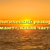 Морфологический разбор слова «занимают», какая часть речи