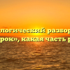 Морфологический разбор слова «зверок», какая часть речи