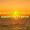 Морфологический разбор слова «ива», какая часть речи