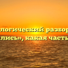 Морфологический разбор слова «касались», какая часть речи