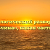 Морфологический разбор слова «мальчика», какая часть речи