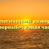 Морфологический разбор слова «неимоверный», какая часть речи