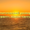 Морфологический разбор слова «поиграет», какая часть речи