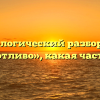 Морфологический разбор слова «прихотливо», какая часть речи
