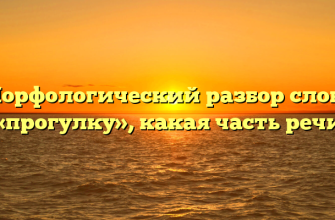 Морфологический разбор слова «прогулку», какая часть речи
