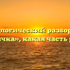 Морфологический разбор слова «птичка», какая часть речи