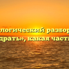 Морфологический разбор слова «разодрать», какая часть речи
