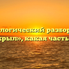 Морфологический разбор слова «раскрыл», какая часть речи