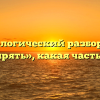 Морфологический разбор слова «шнырять», какая часть речи