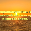 «Непрекращающийся» или «не прекращающийся» — как правильно пишется слово?