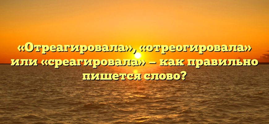 «Отреагировала», «отреогировала» или «среагировала» — как правильно пишется слово?