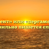«Пергамент» или «пергамен» — как правильно пишется слово?