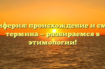 Периферия: происхождение и смысл термина — разбираемся в этимологии!