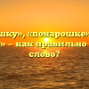 «Понарошку», «понарошке» или «по нарошку» — как правильно пишется слово?