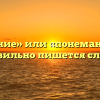 «Понимание» или «понемание» — как правильно пишется слово?