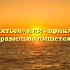 «Преклоняться» или «приклоняться» — как правильно пишется слово?