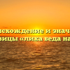 Происхождение и значение пословицы «лиха беда начало»