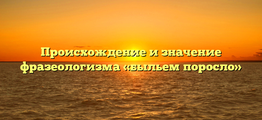 Происхождение и значение фразеологизма «быльем поросло»